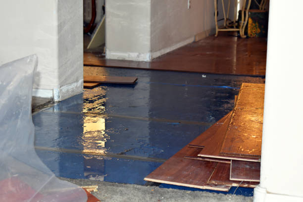 Professional Water Removal technician working in New Home, TX