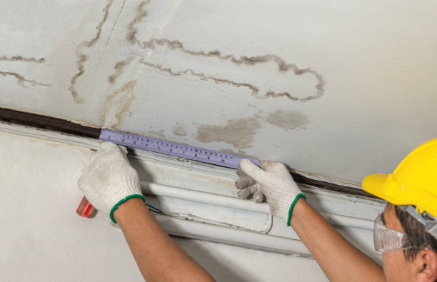 Reliable Water Removal contractor in New Home, TX by Water Damage Irwin